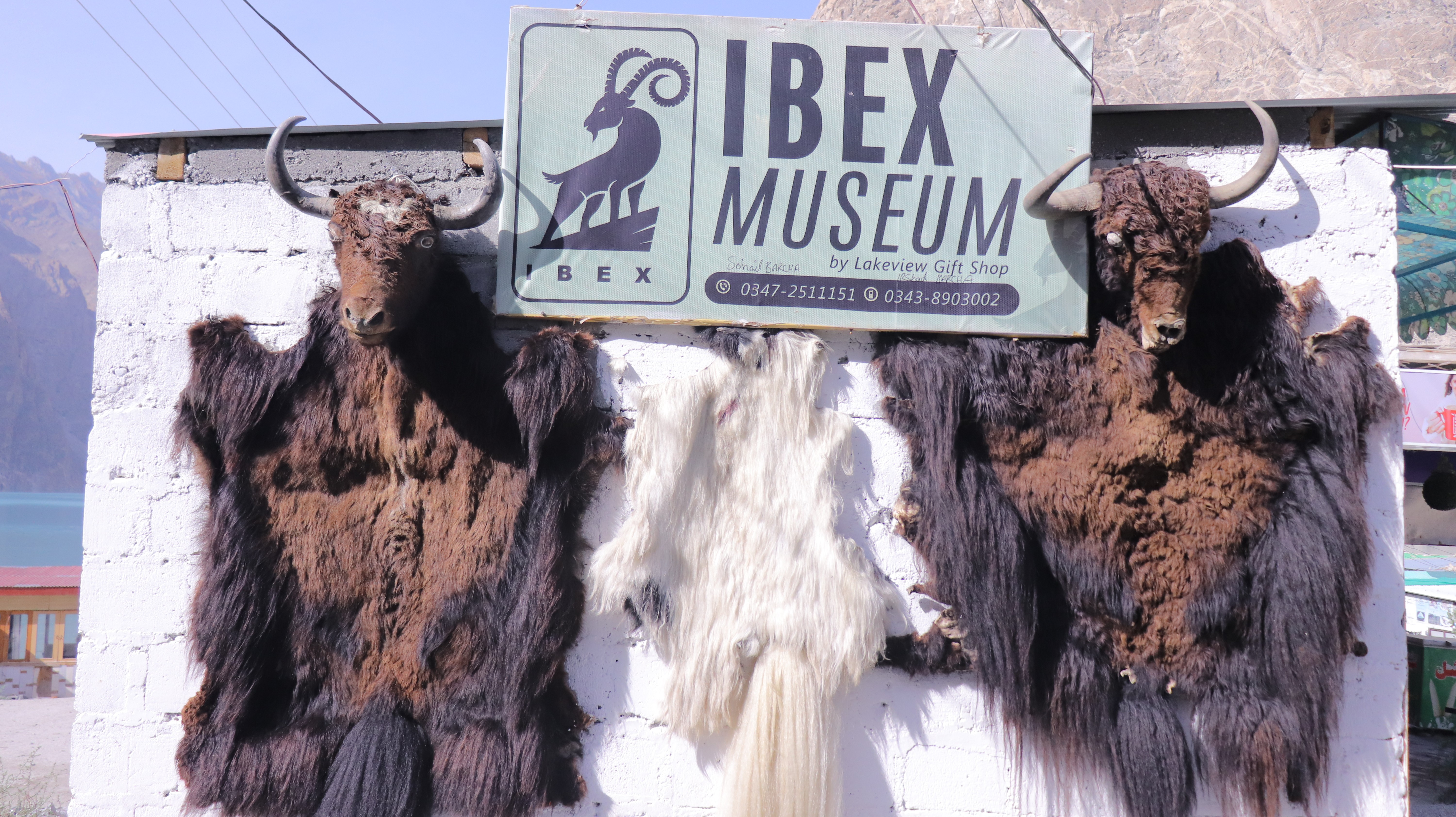The Ibex Museum