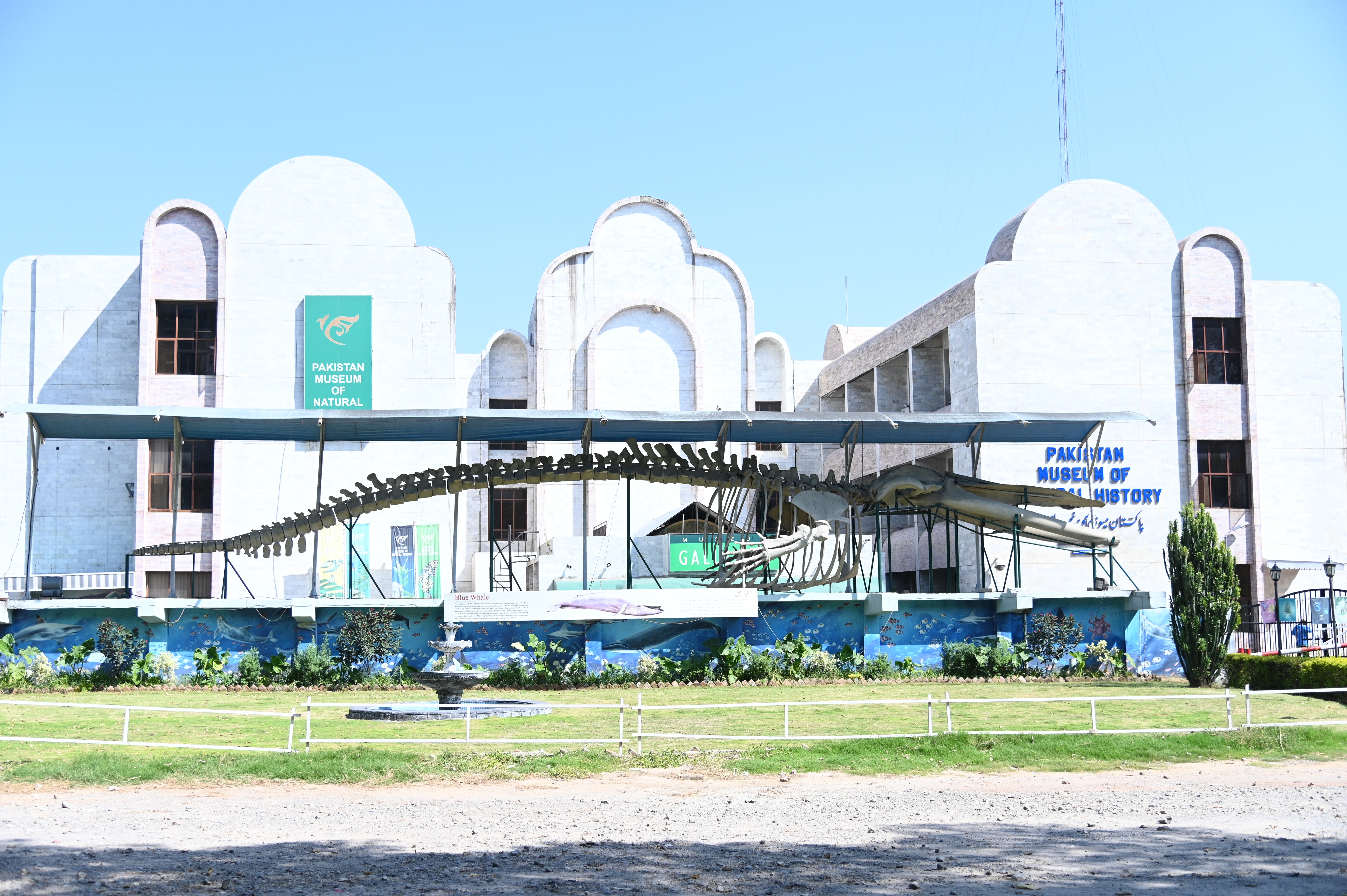Pakistan Museum of Natural History, established in 1976, It has exhibits and galleries which display and provide information about the ecology, geology, and paleontology of the country
