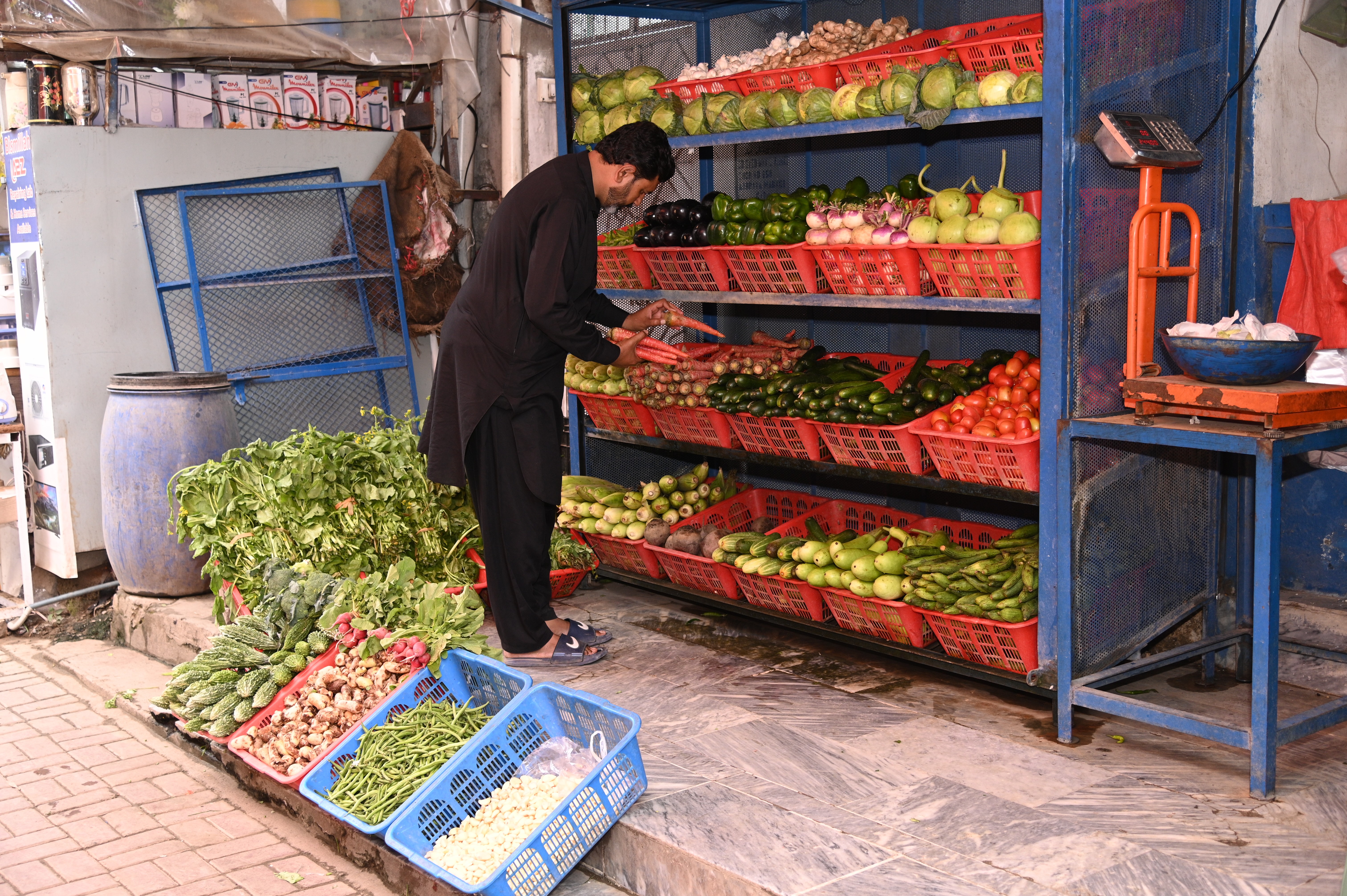 A vendor setting up fresh vegetables