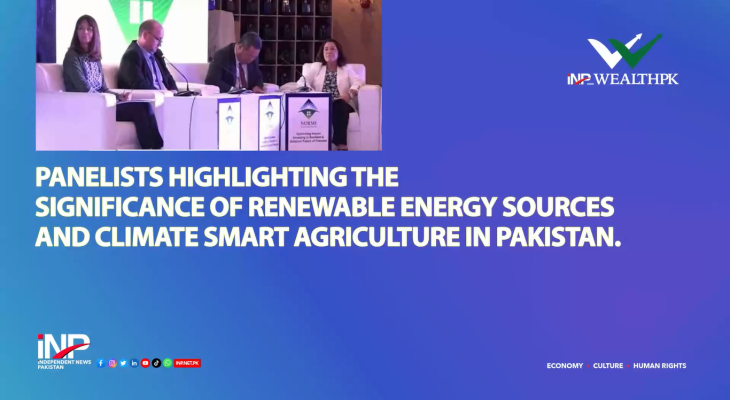 Panelists highlighting the significance of renewable energy sources and climate smart agriculture in Pakistan.