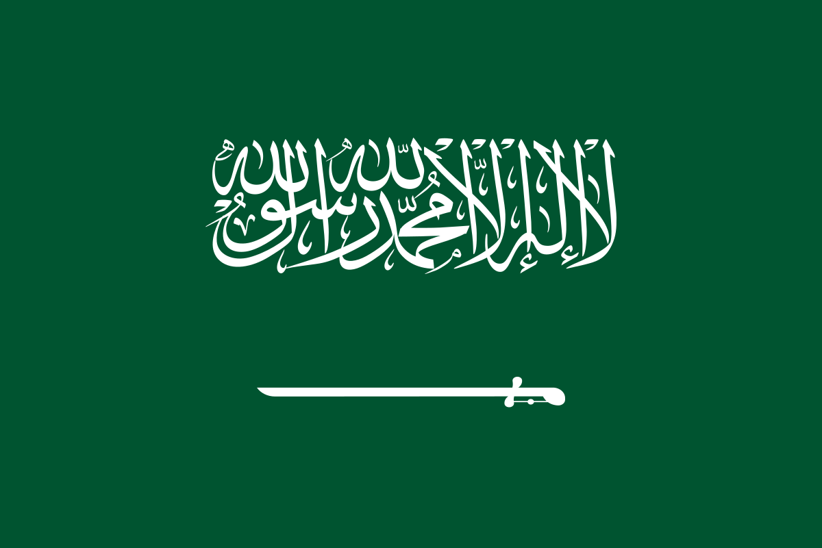 Pak Saudi