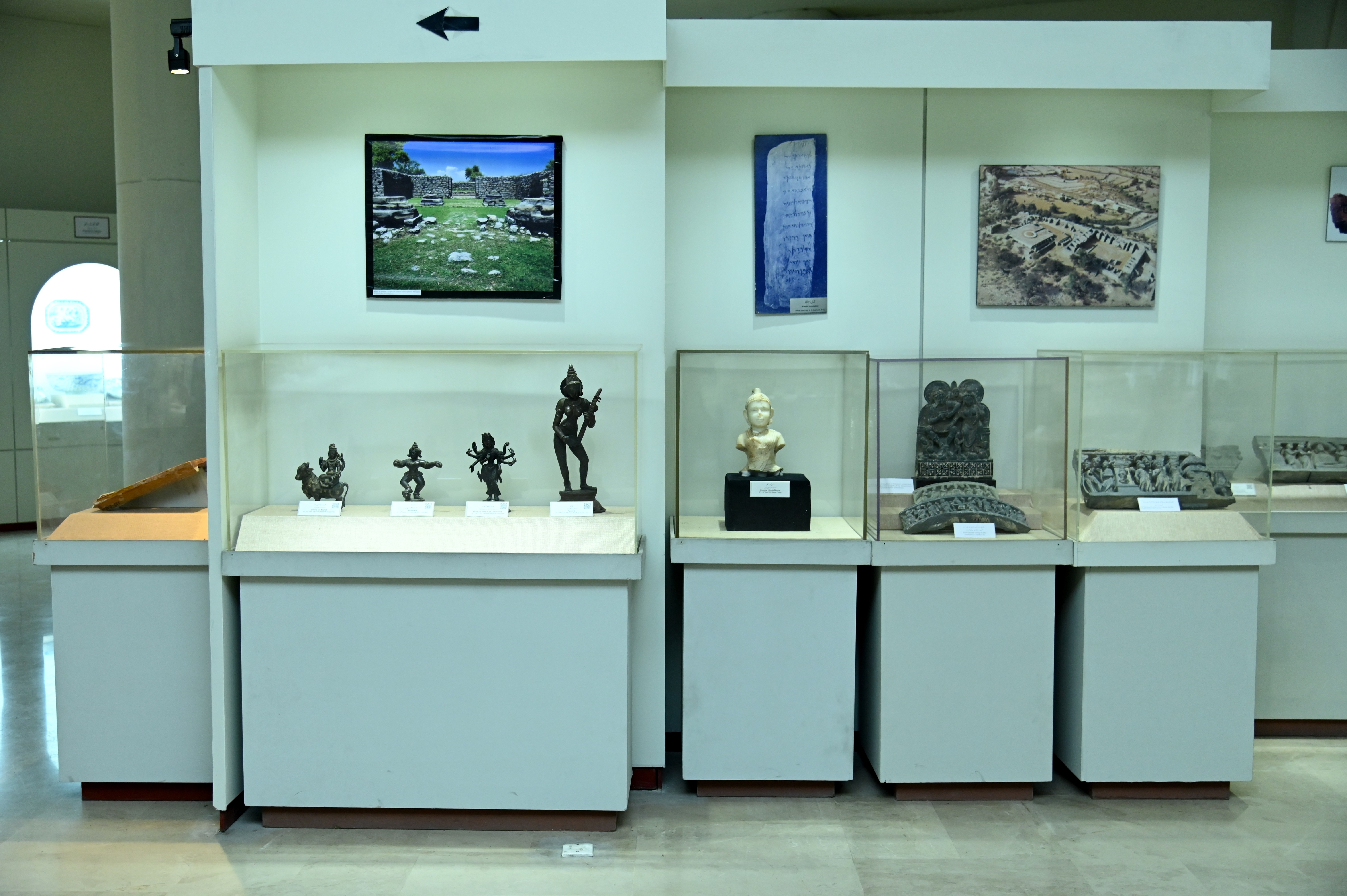 The preserved Artifacts in different chambers at the Sir Syed Memorial Museum