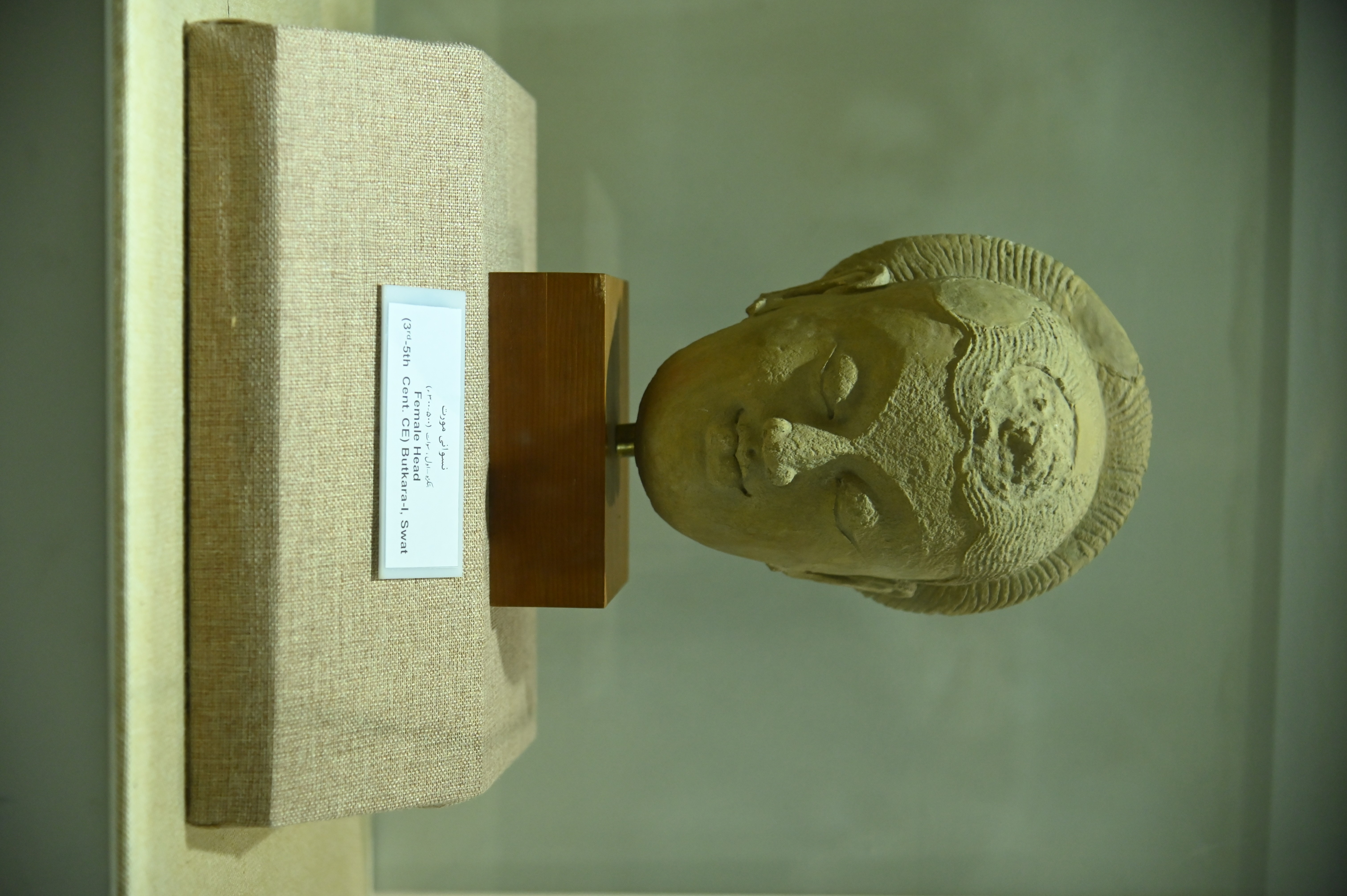 The sculpting female head, Butkara-I in Sir Syed Memorial Museum