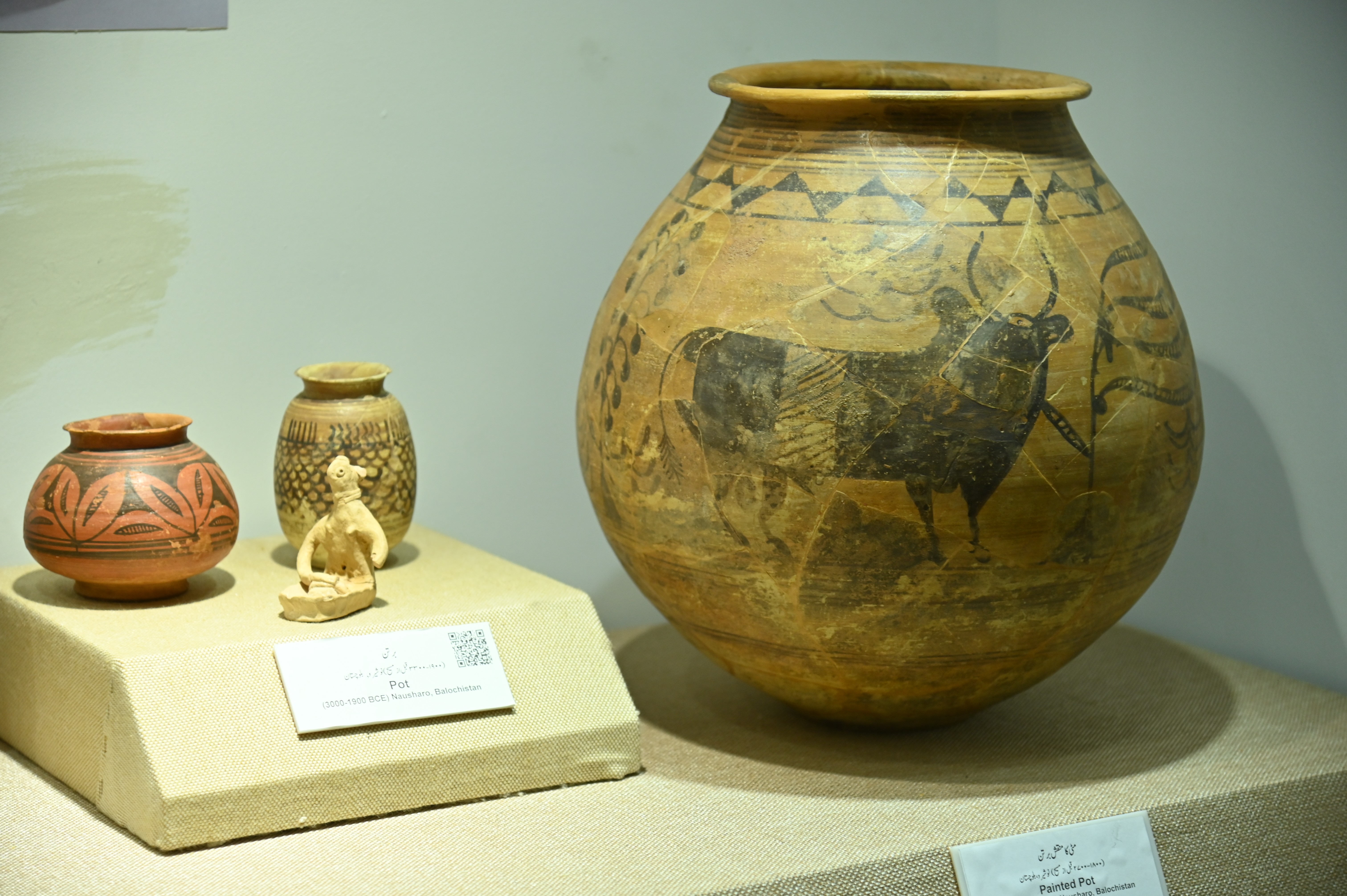 The painted pots preserved in the Sir Syed Memorial Museum