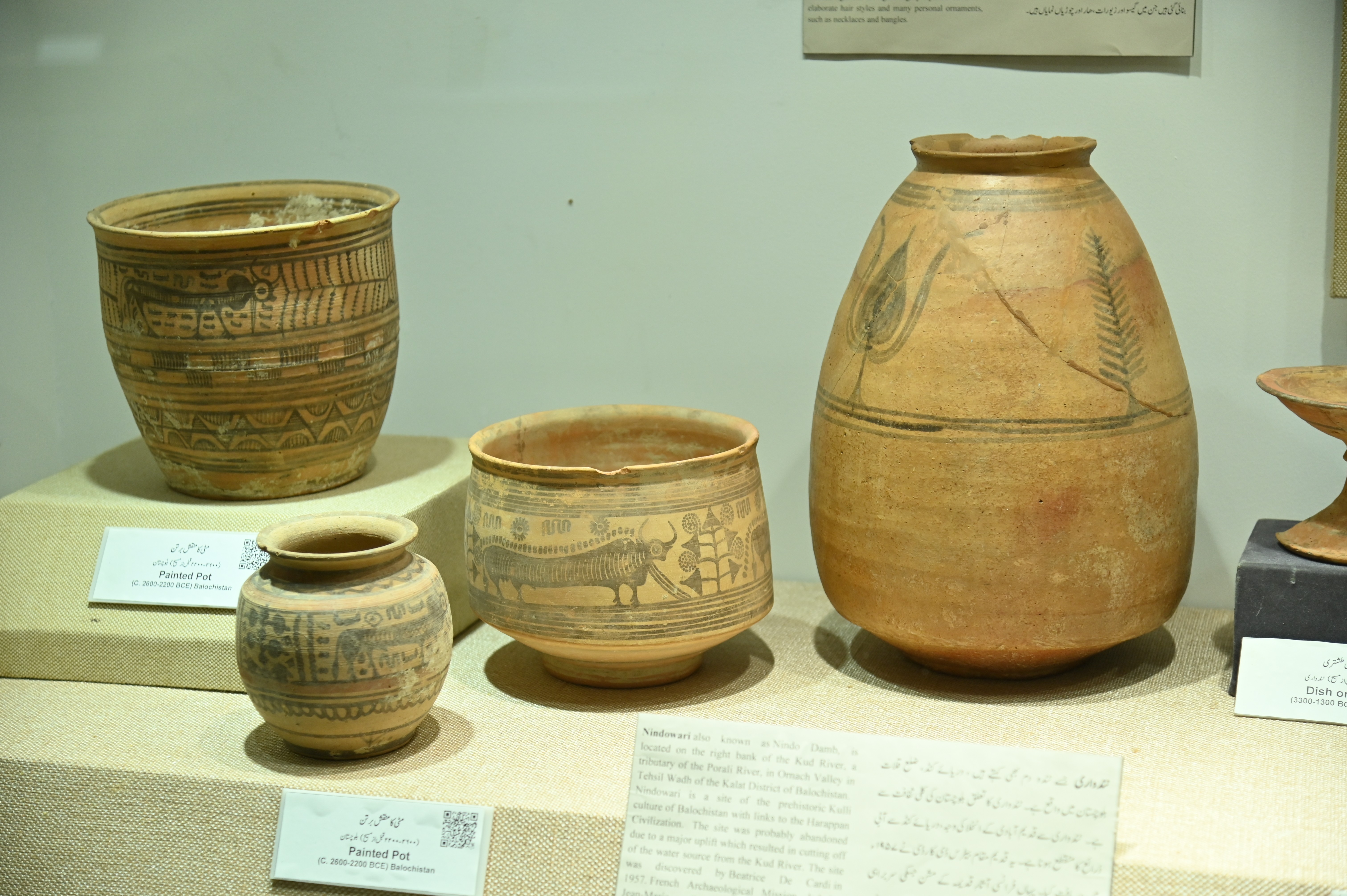 The collection of painted pots preserved in the Sir Syed Memorial Museum