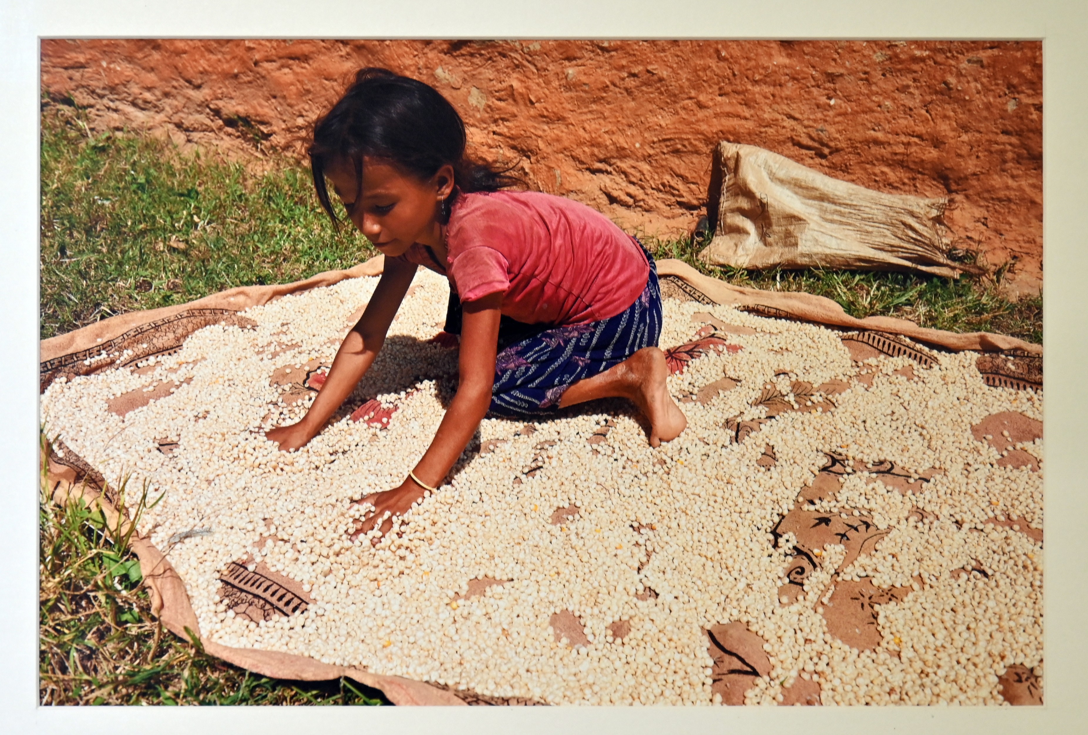 A picture of a young girl drying up the grains