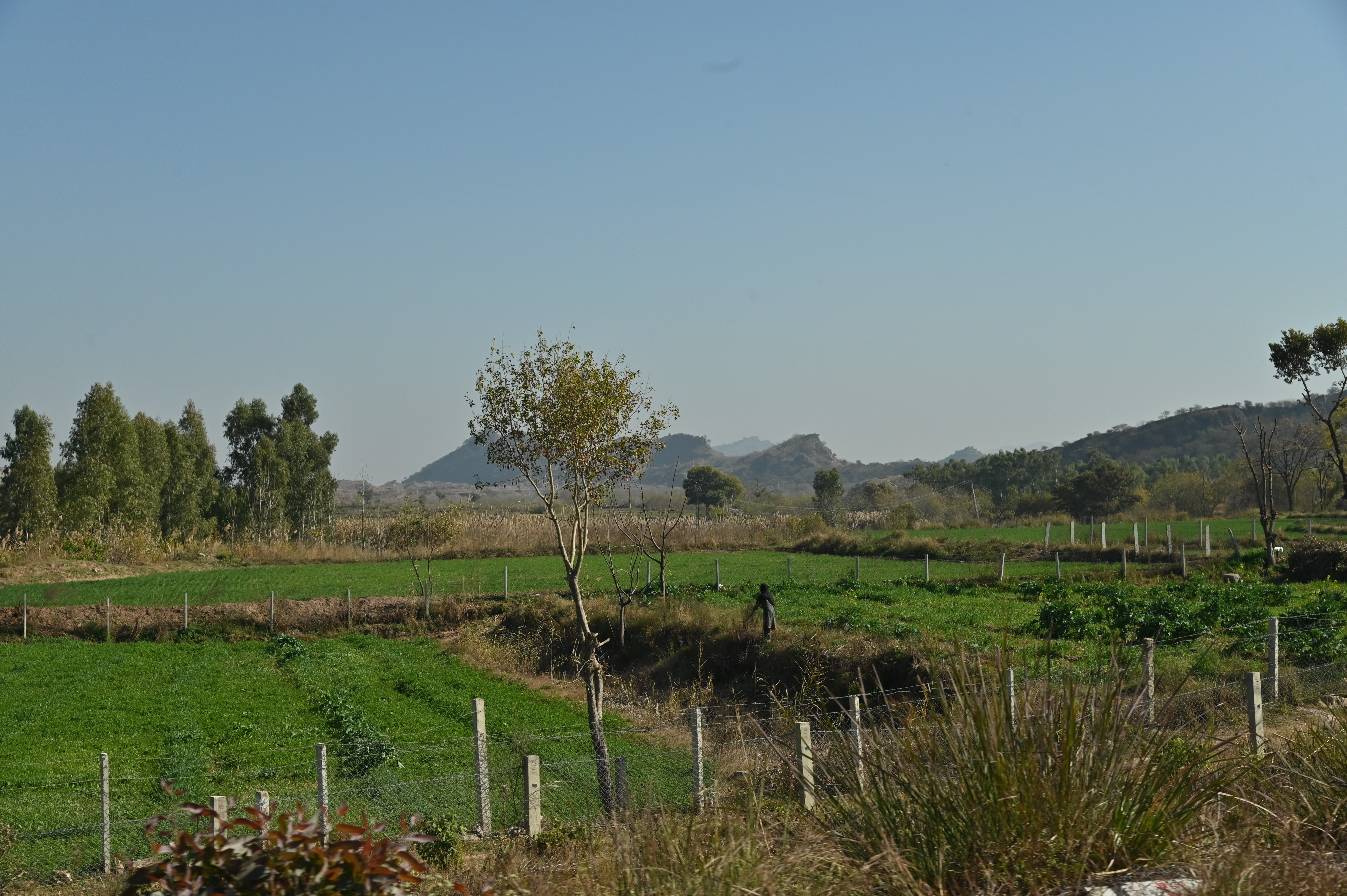 A field in a village
