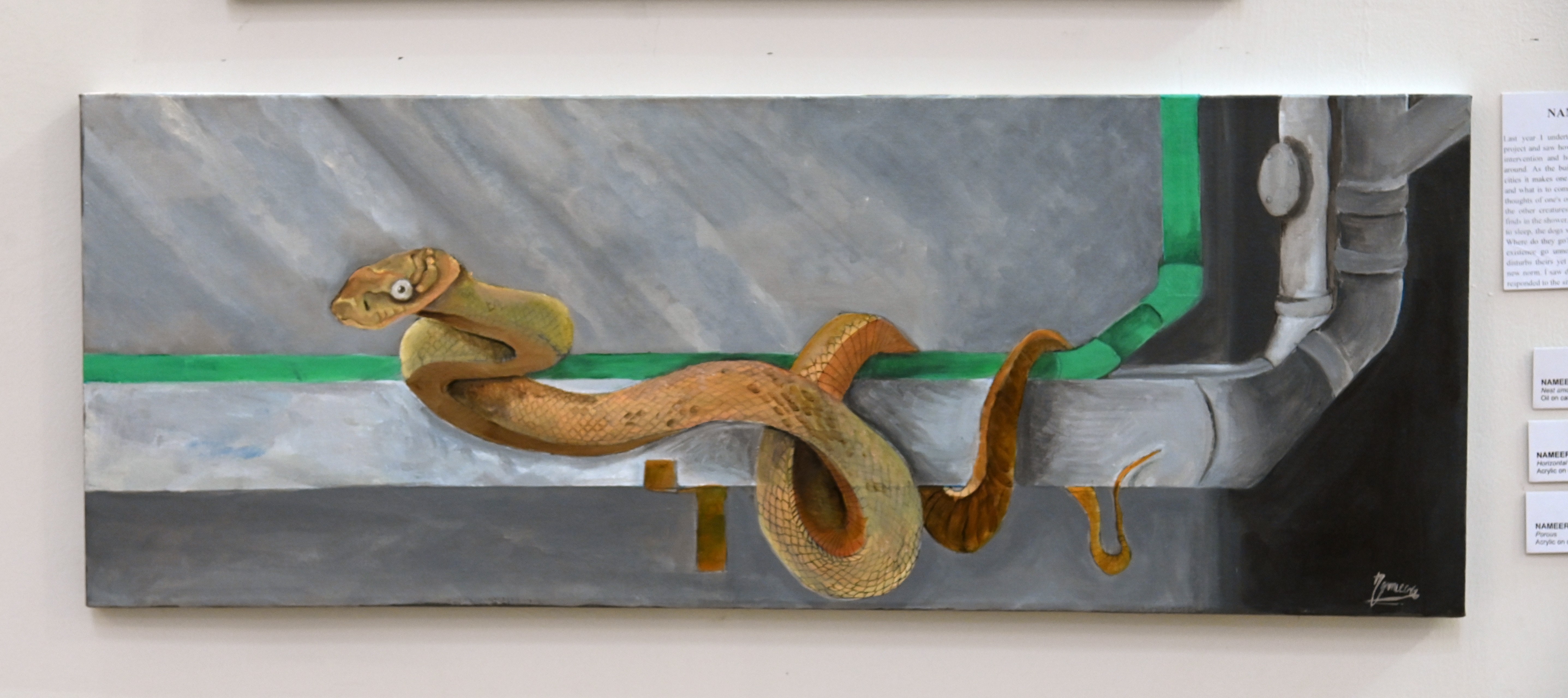 The painting of snake rolled on a pipe