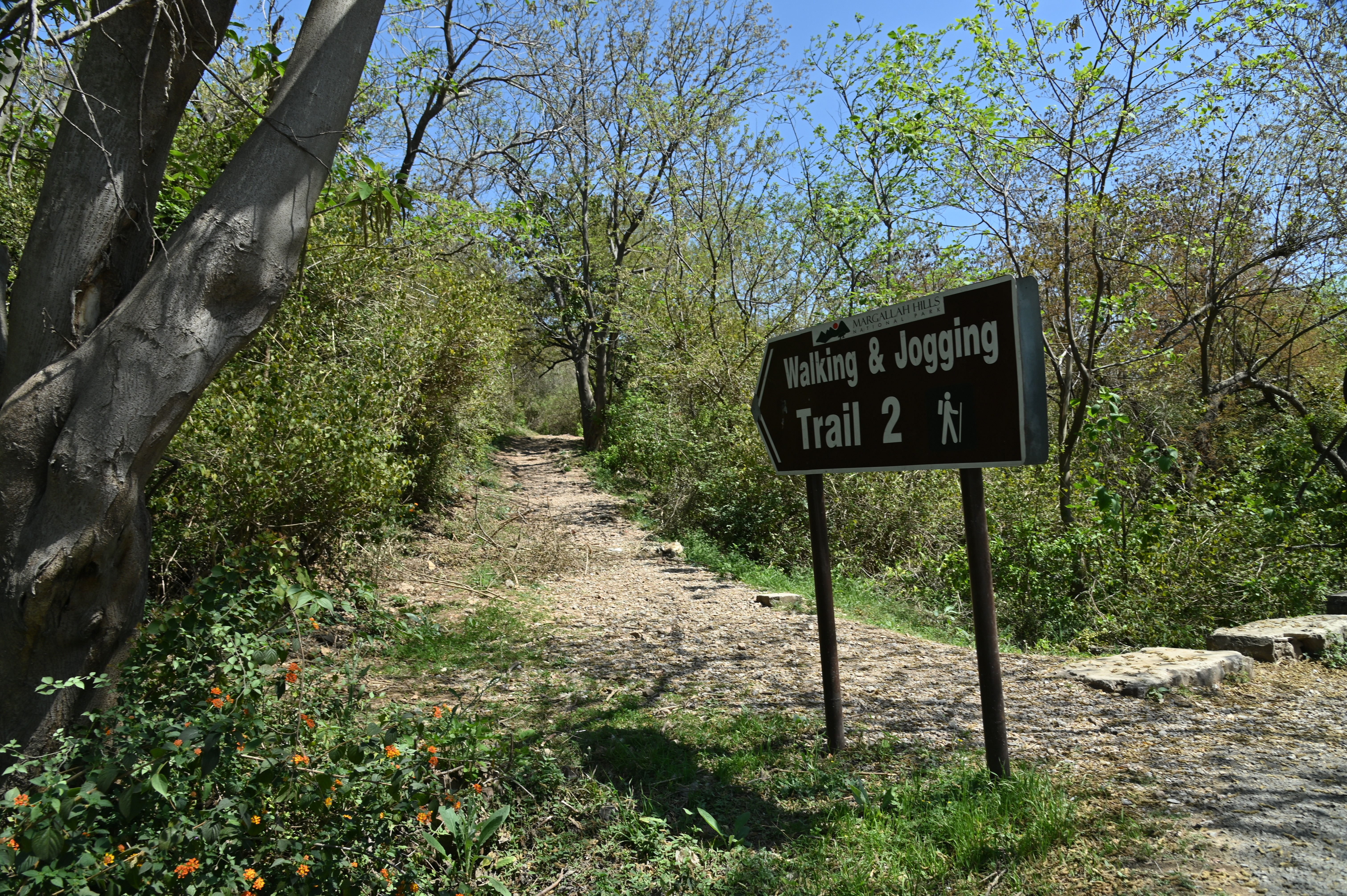 The walking and jogging track named Trail 2 that Starts out just above Pir Sohawa, the point located near Islamabad Zoo