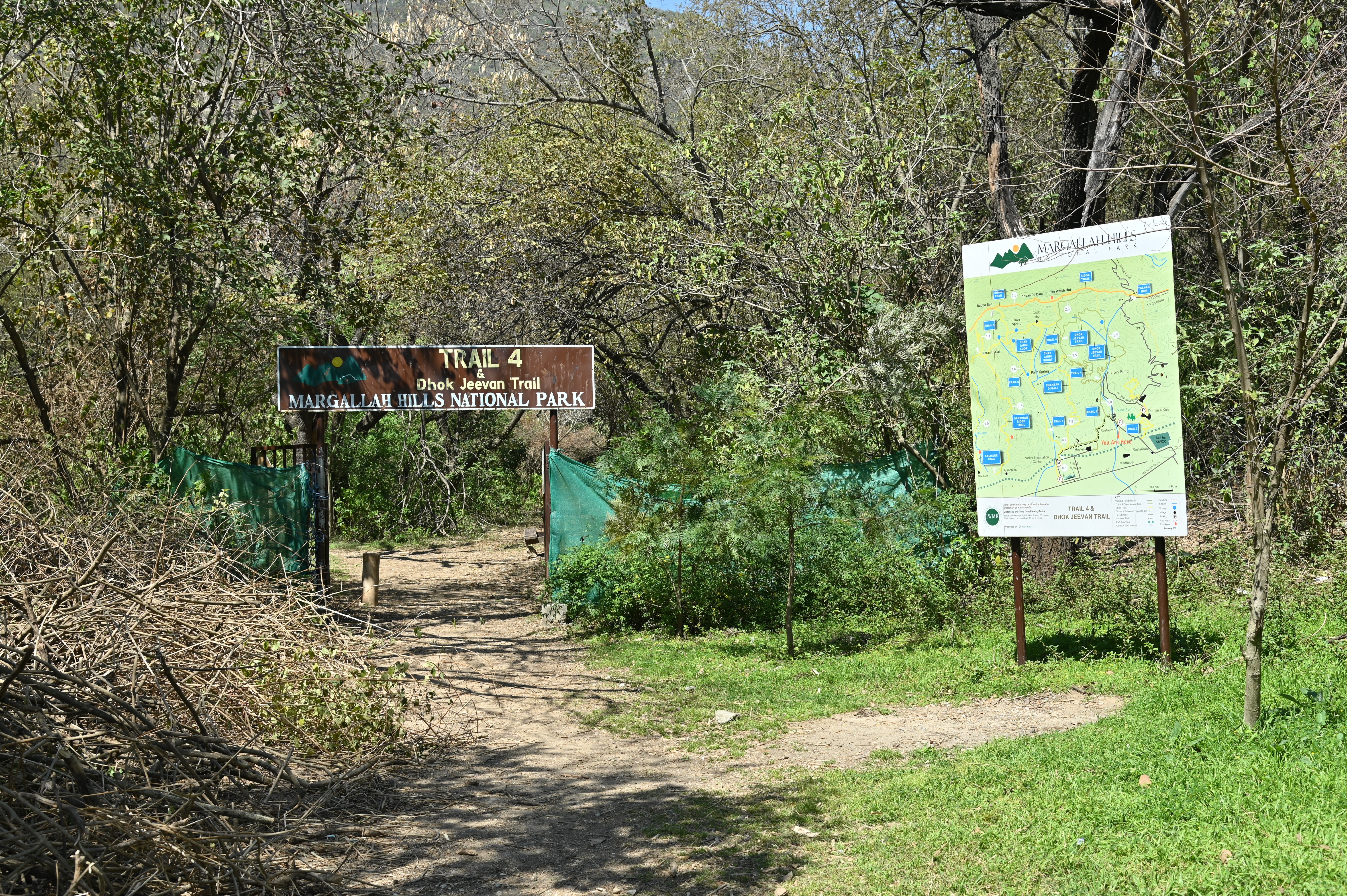 Trail 4 and Dhok Jeevan, a loop trail of above 10km passing entirely through dense forest
