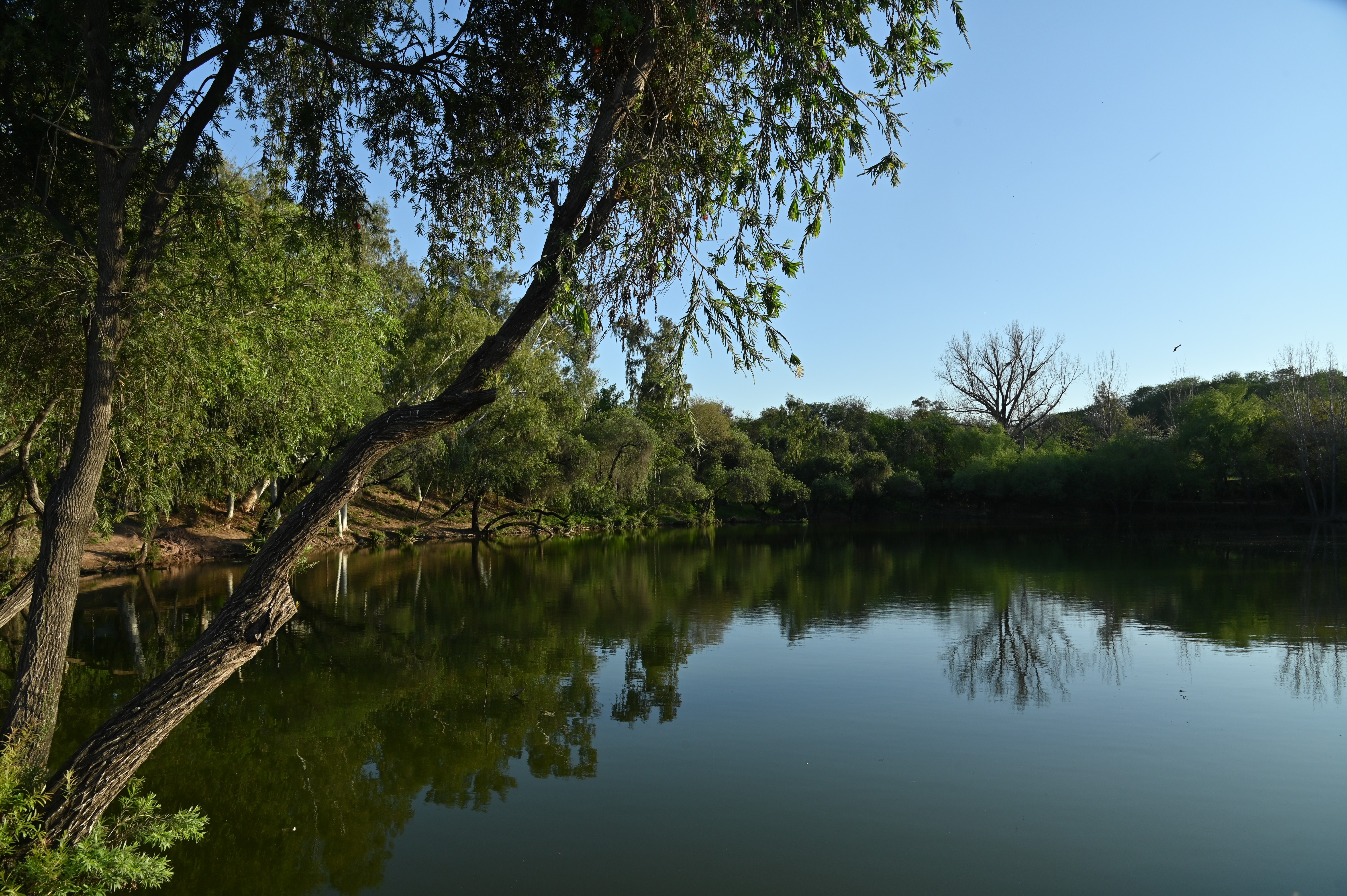 The reflection of the trees in the lake of Ayub Park