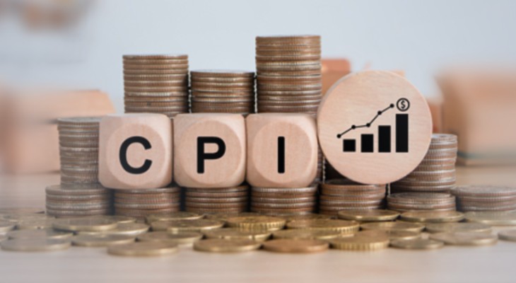Image Mixed Inflation CPI shows mixed inflation trends in FY24-INP
