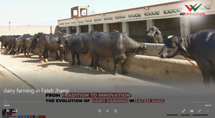 From Tradition to Innovation: The Evolution of Dairy Farming in Fateh Jang