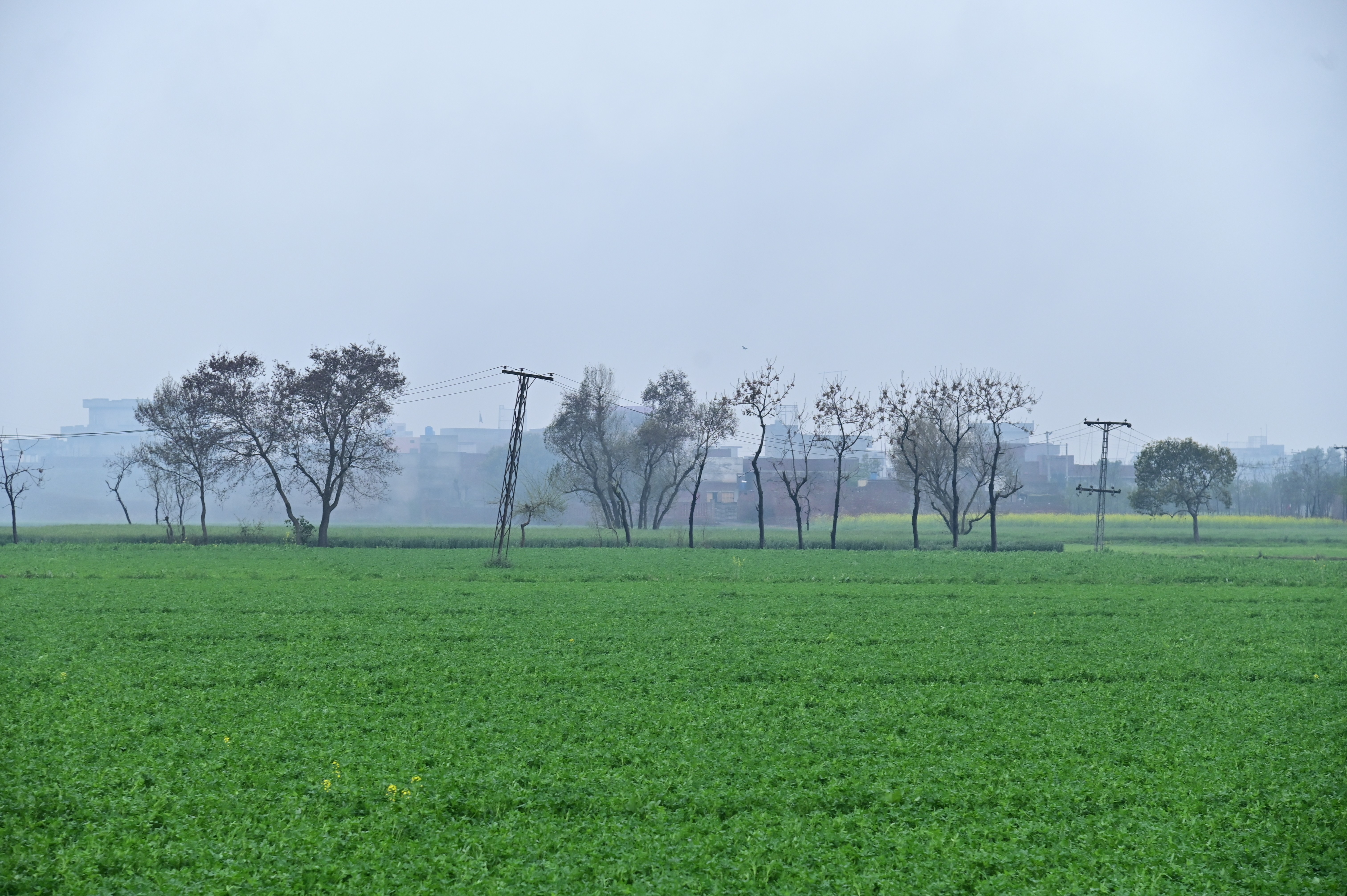 A massive electrical grid stands tall over lush green fields
