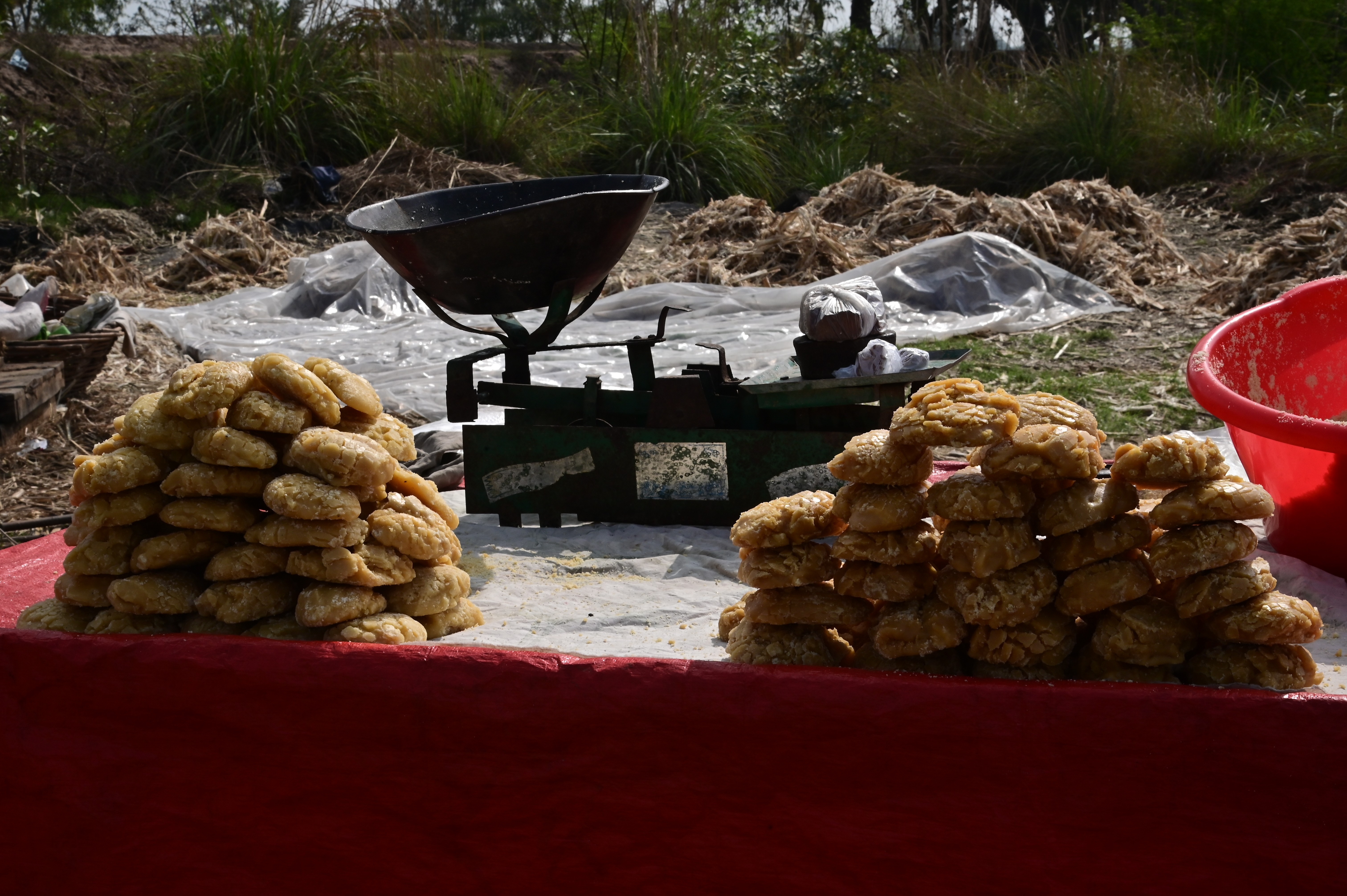 A stack of freshly made jaggery (gur)
