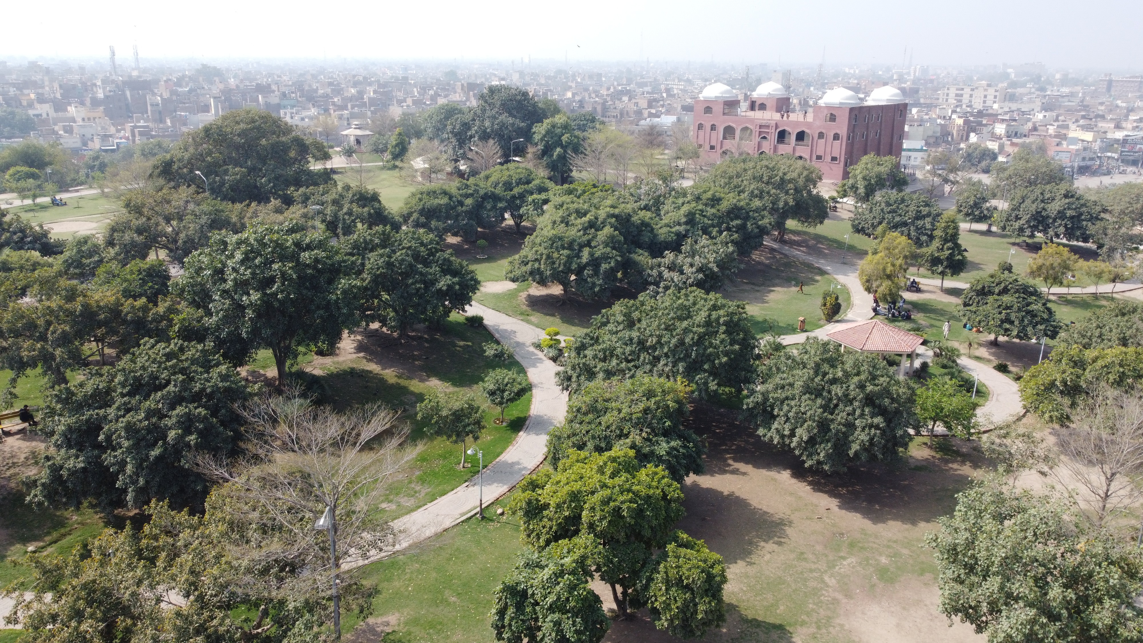 A serene aerial view of a lush green park