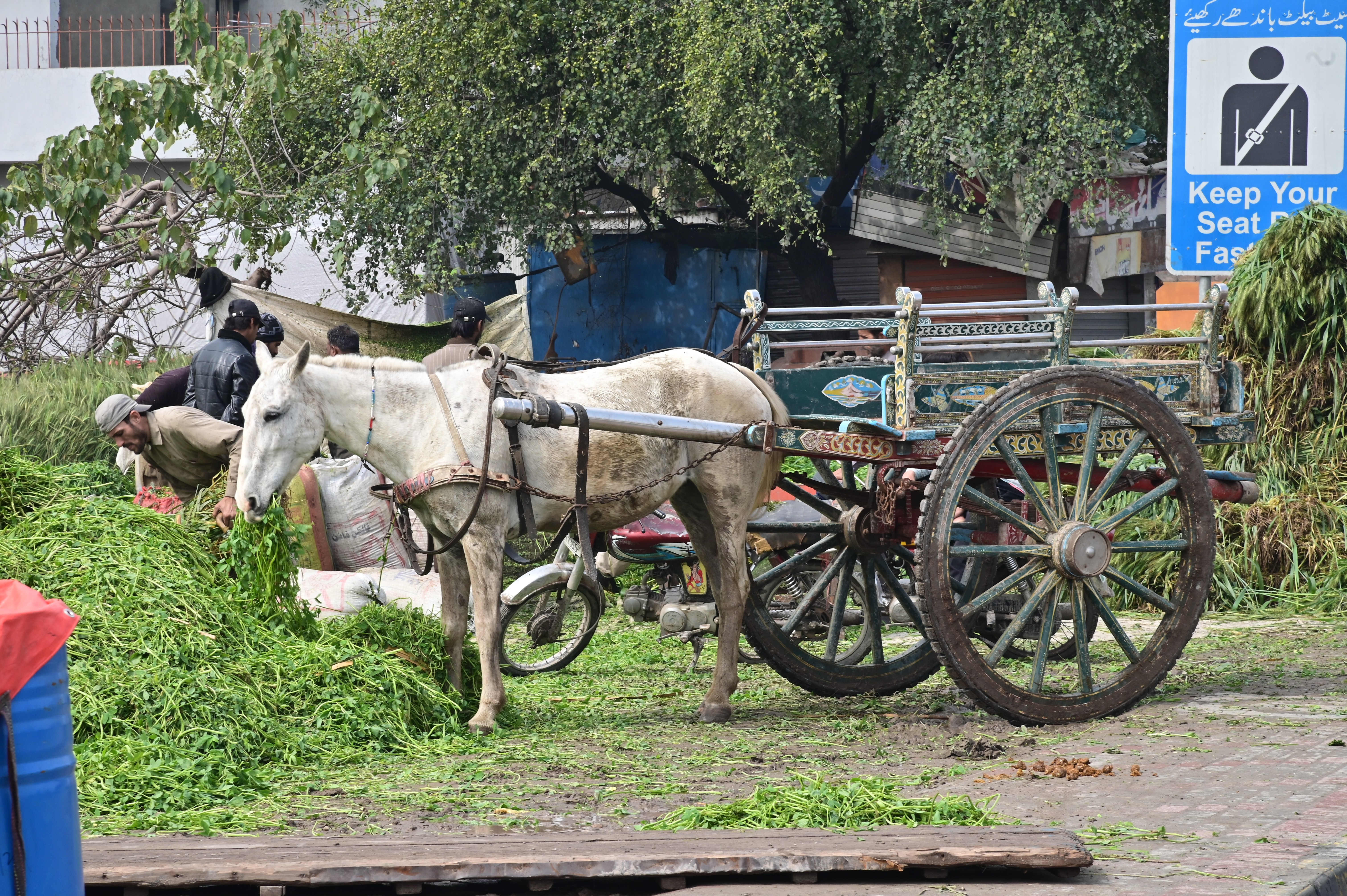 Horse cart