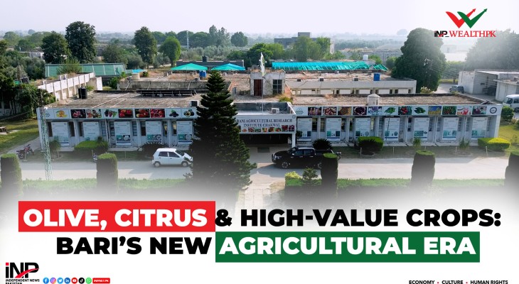 Olive, Citrus & High-Value Crops BARi’s New Agricultural Era