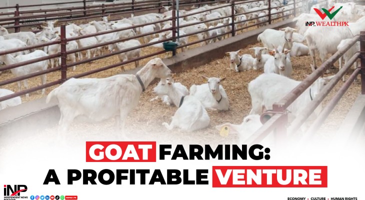 GOAT FARMING: A PROFITABLE VENTURE
