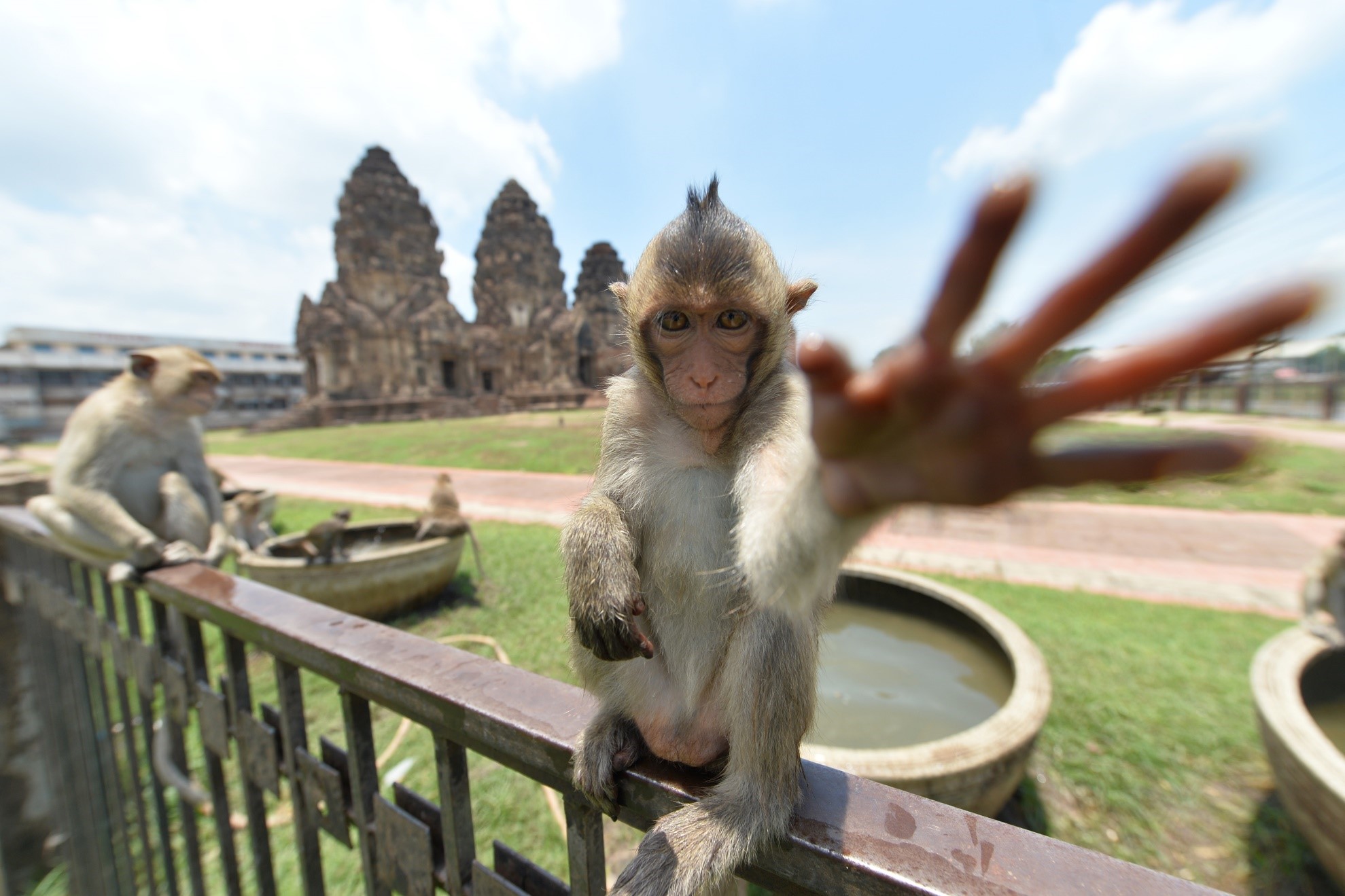 تھائی لینڈ کے لوپ بوری میں بندر پانی میں کھیل رہے ہیں۔(شِنہوا)