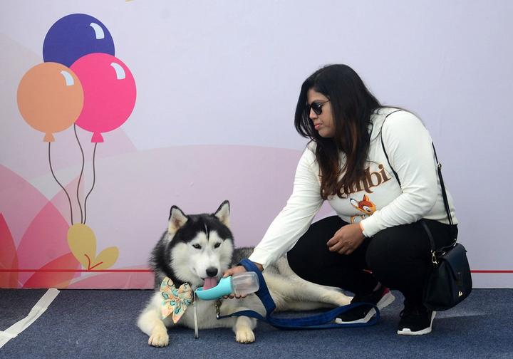 India-Pet Show 3.jpg