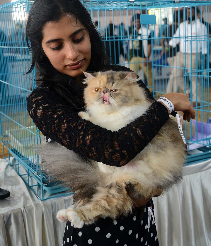 India-Pet Show 8.jpg