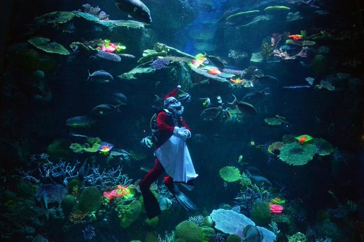 Thailand-Santa-Oean World-Christmas 4.jpg