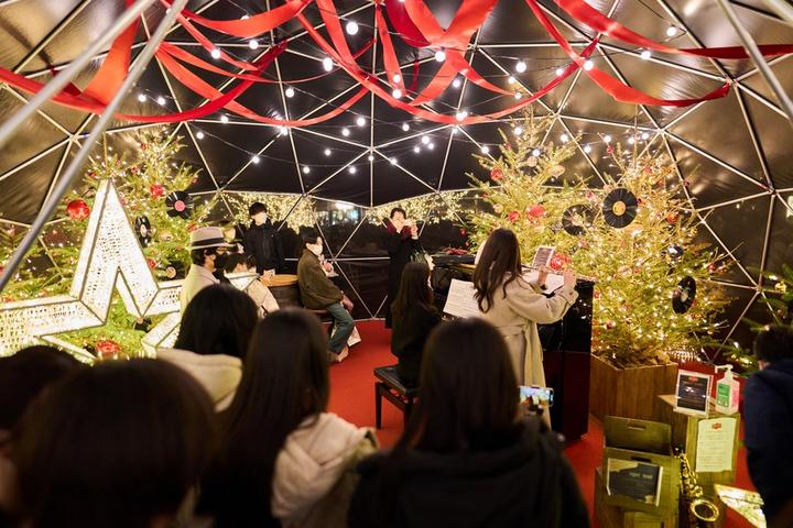 Japan-Christmas-New Year 5.jpg