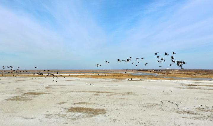 World Wetlands Day 1.jpg
