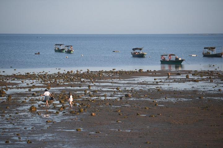 zhanjiang 2.jpeg