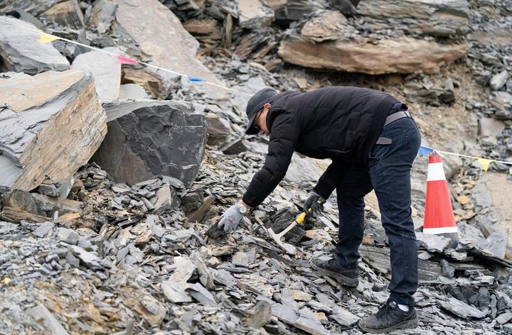 China,Yunnan,fossils 1.jpeg