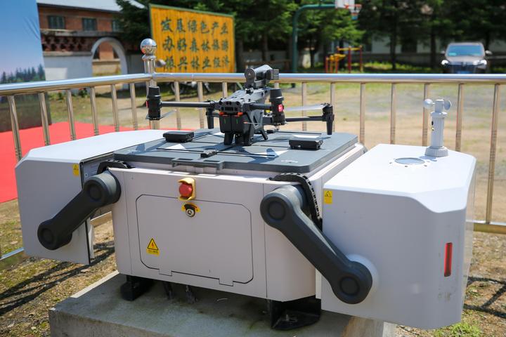 drone, forestry 1.jpeg