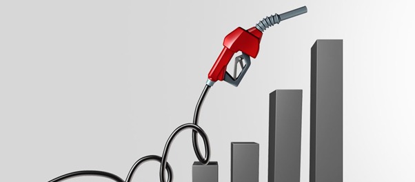 WhatsApp Image 2025-11-19 at 10.23.24 AM.jpeg