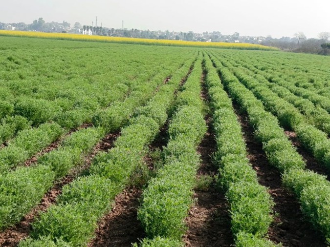 WhatsApp Image 2026-04-14 at 4.34.08 PM.jpeg